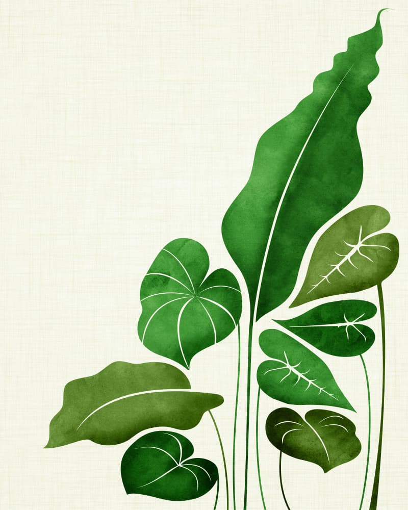 Cacophony by Kristian Gallagher — canvas wall art