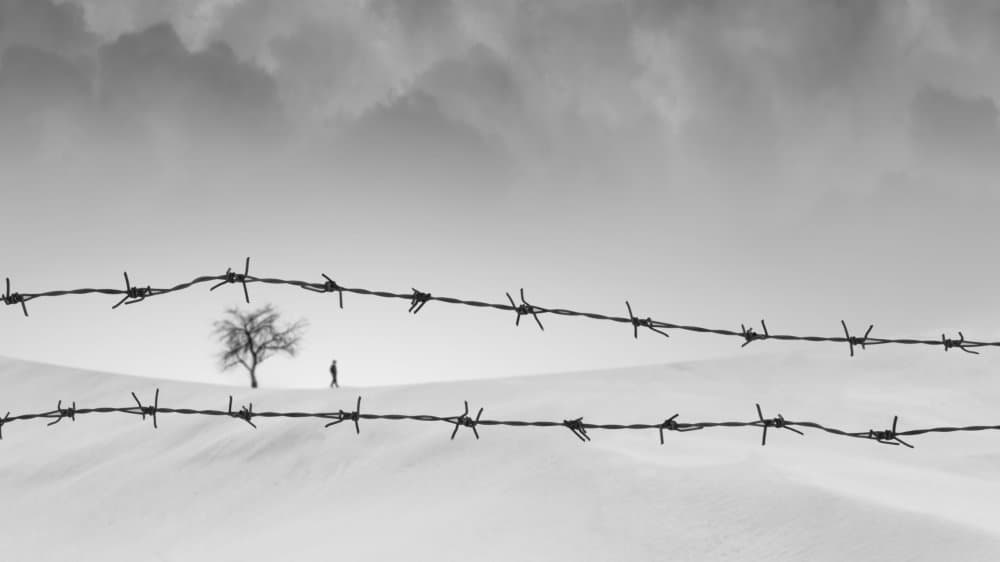 Barbed Wire Desolate Landscape by alizolghadri93 — canvas wall art