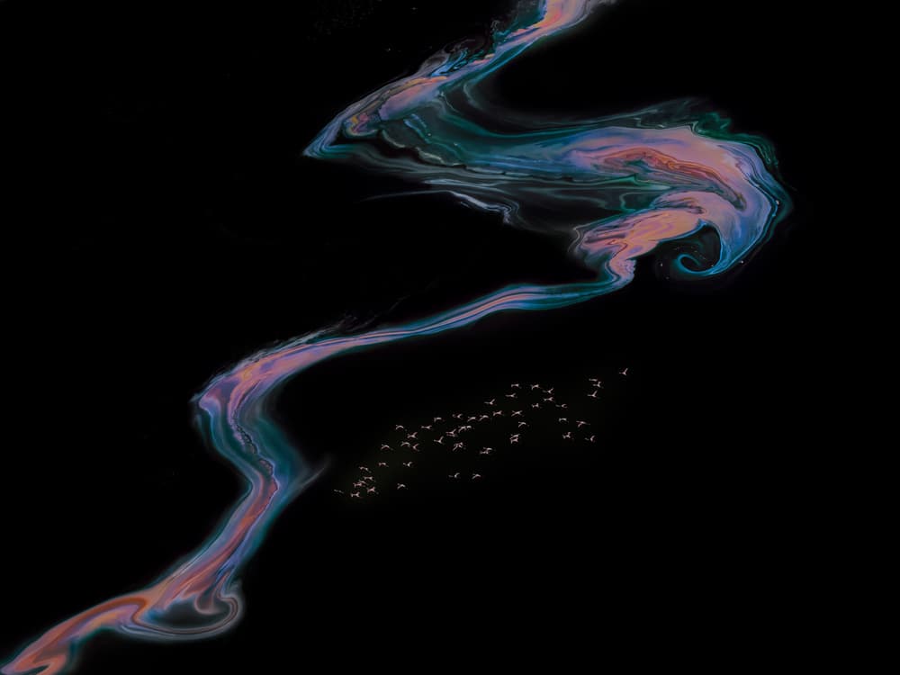 Cosmic Flow with Birds by Siyu_Wei APA — canvas wall art