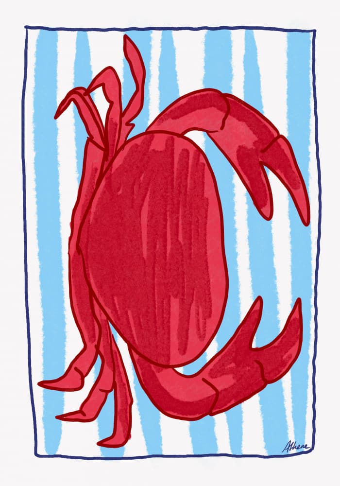Red Crab by Athene Fritsch — canvas wall art