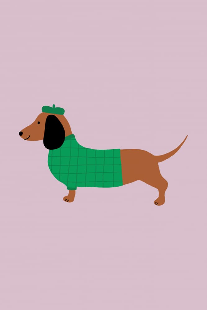 Dapper Dog in Sweater by Maren Gross — canvas wall art