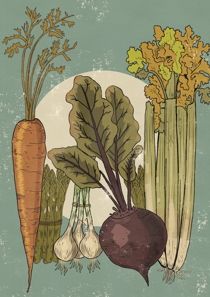Fresh Garden Harvest by Nicholas — canvas wall art