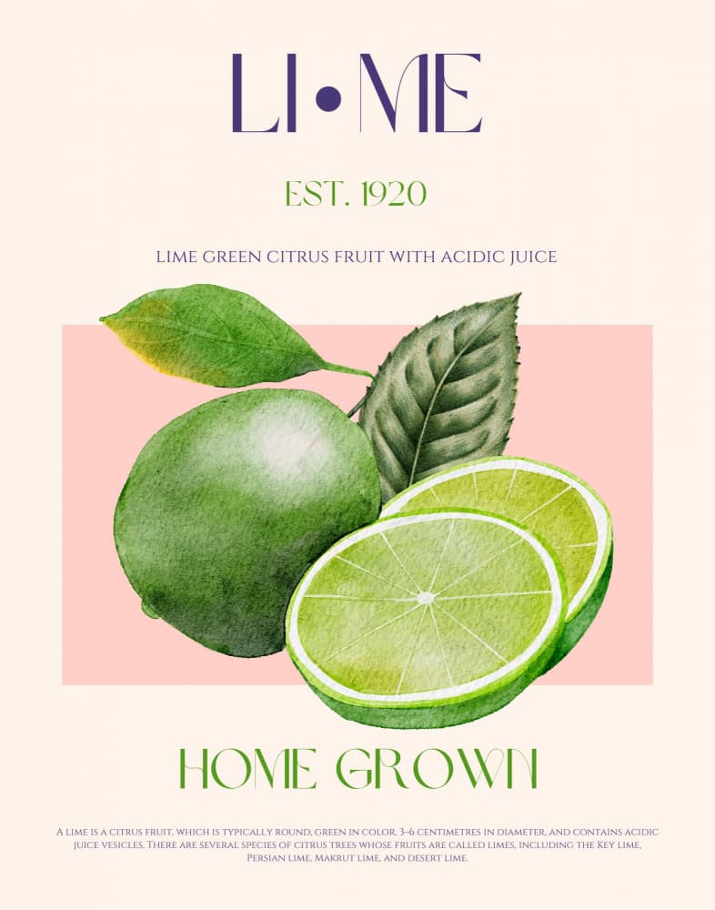Fresh Green Limes by Nazma Khokhar — canvas wall art