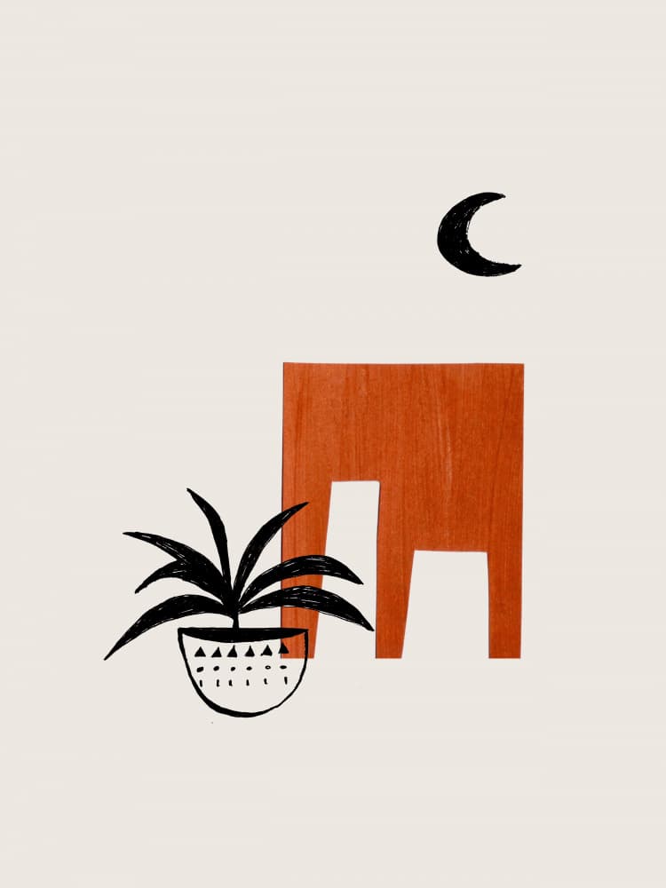 Terracotta Night Plant by Ejaaz Haniff — canvas wall art