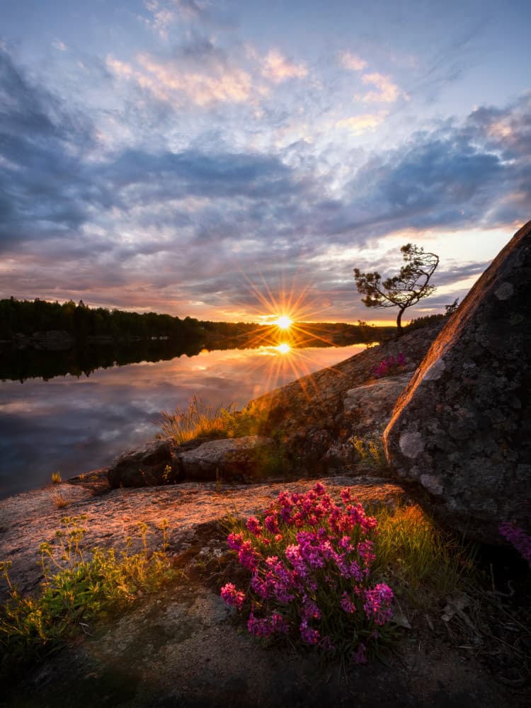 Golden Lake Sunset Bloom by Christian Lindsten — canvas wall art