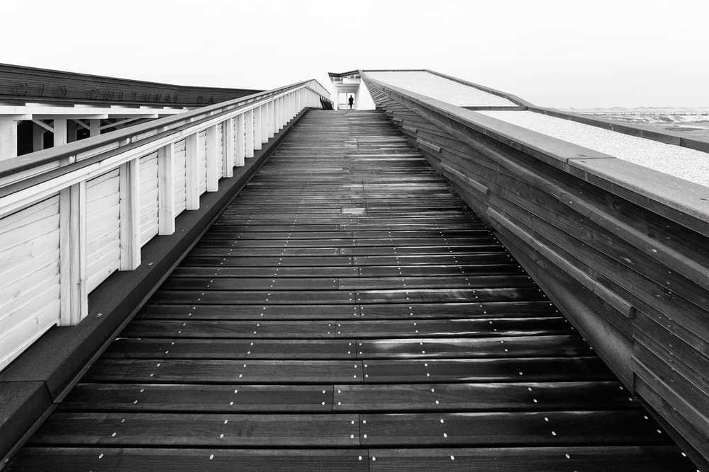 Upward Wooden Path by Filipe P Neto — canvas wall art