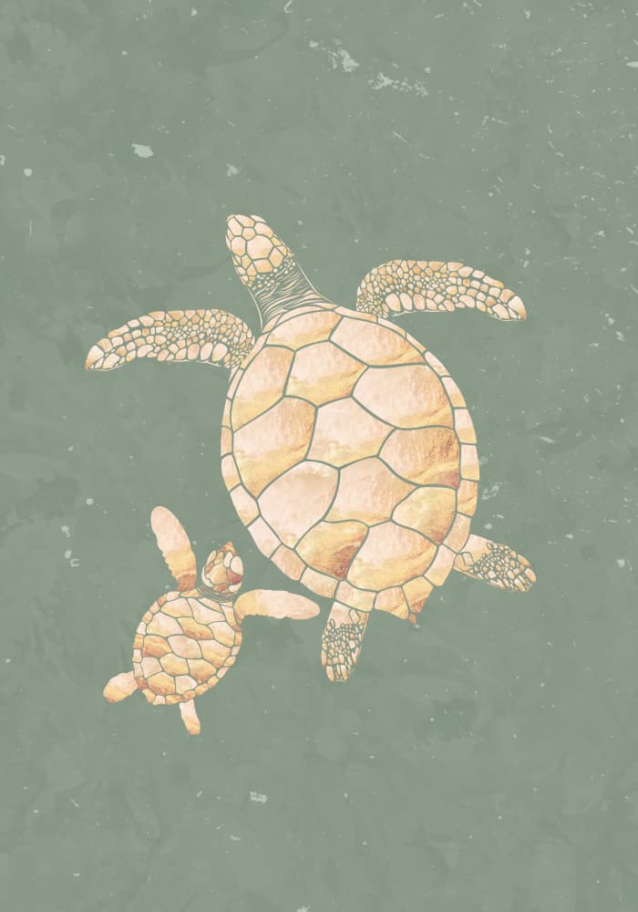 Mother and Baby Turtles by Sarah Manovski — canvas wall art