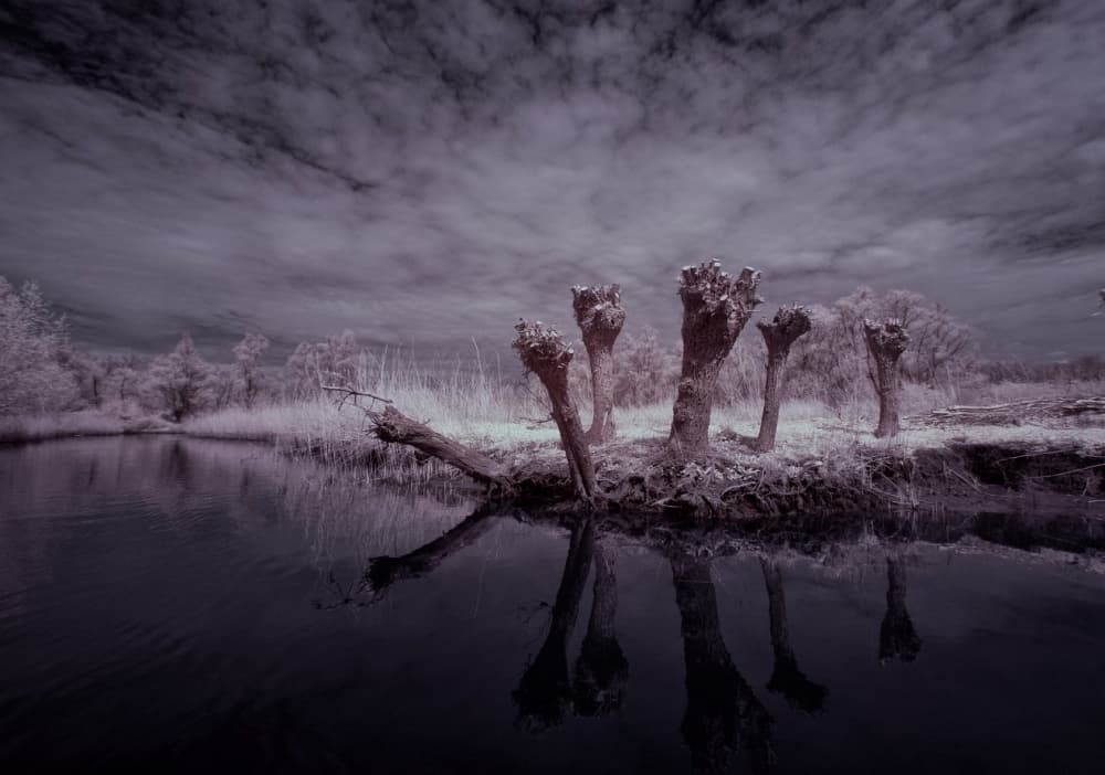 Mystical Infrared Reflections by Gert van den Bosch — canvas wall art
