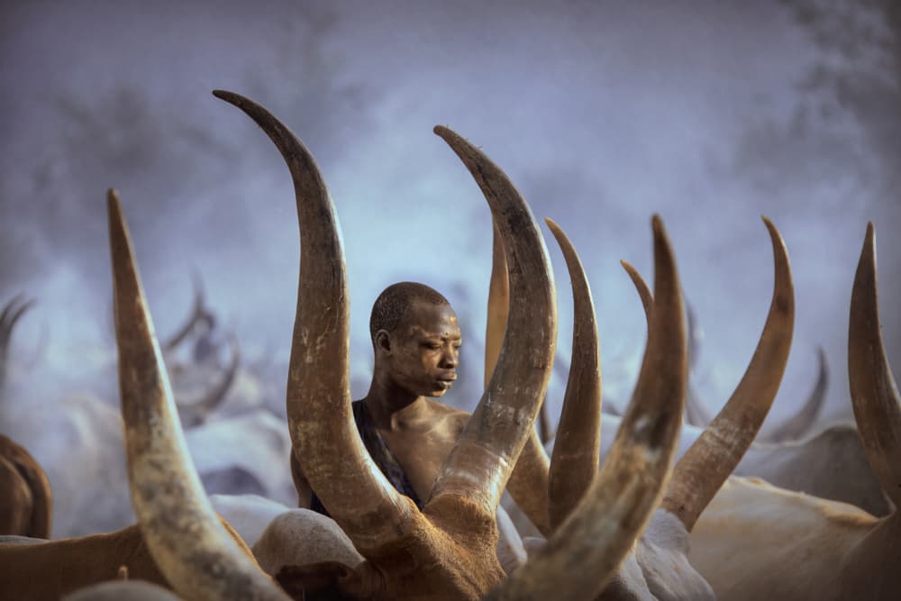 African Herdsman With Horns by Svetlin Yosifov — canvas wall art