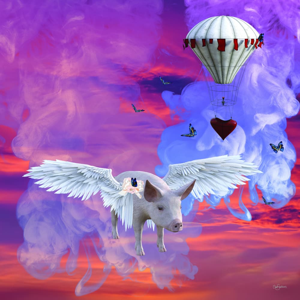 When Pigs Fly Dream by Sue Skellern — canvas wall art