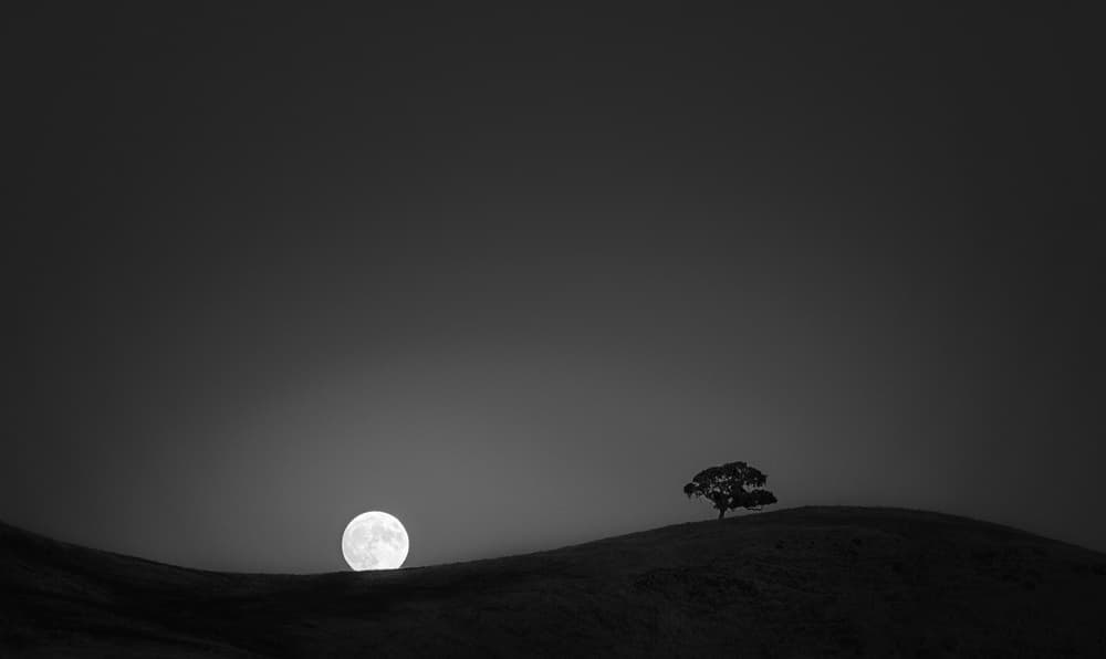 Full Moon and Lone Tree by Aidong Ning — canvas wall art
