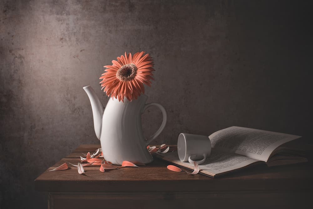 Orange Daisy Broken Teapot by Margareth Perfoncio — canvas wall art