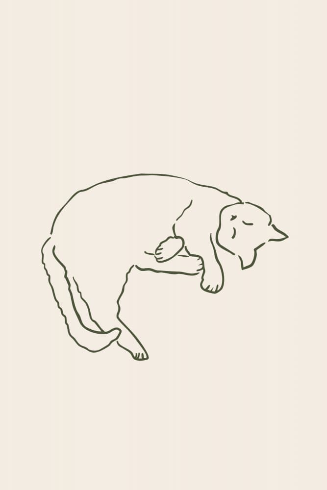 Peaceful Sleeping Cat by Karen Menzenbach — canvas wall art
