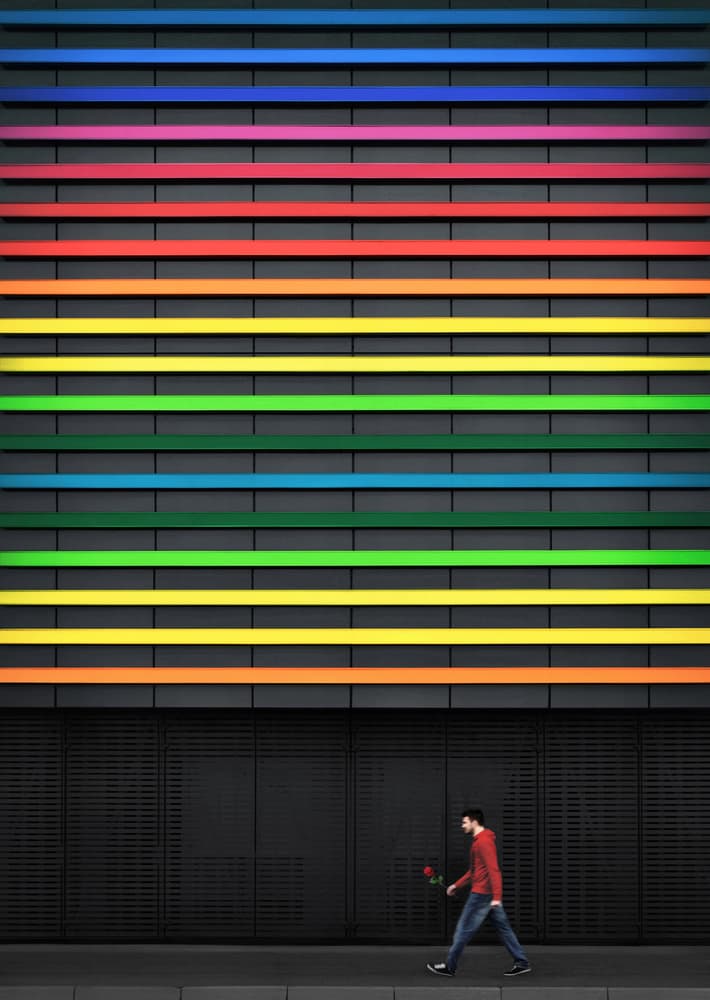 Man with Rose Colorful Wall by Samanta Krivec — canvas wall art
