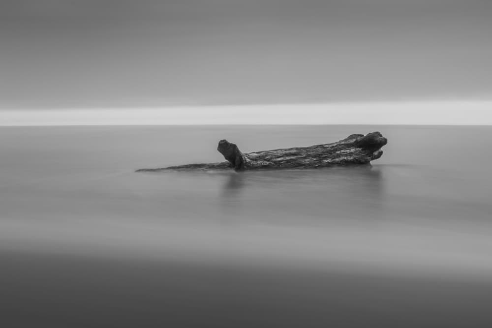 Serene Ocean Driftwood by Hein Jonker — canvas wall art
