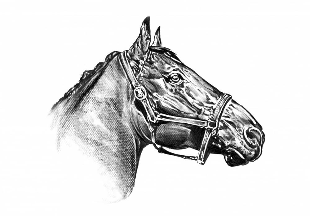 Majestic Horse Drawing by Kulik — canvas wall art