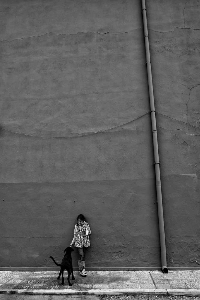 Street Girl and Dog by Ali Ayer — canvas wall art