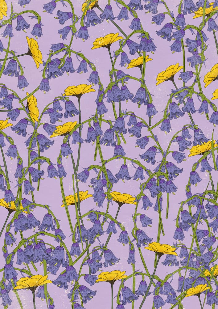 Vibrant Bluebell Blooms by Nicholas — canvas wall art