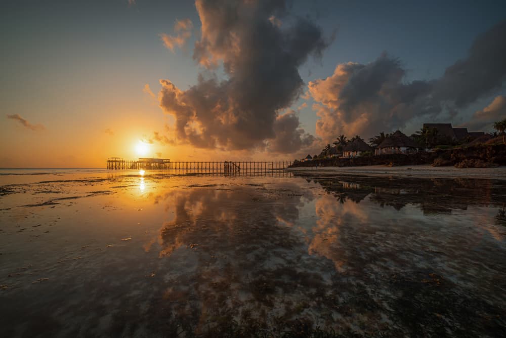 Golden Tropical Sunset by Isam Telhami — canvas wall art