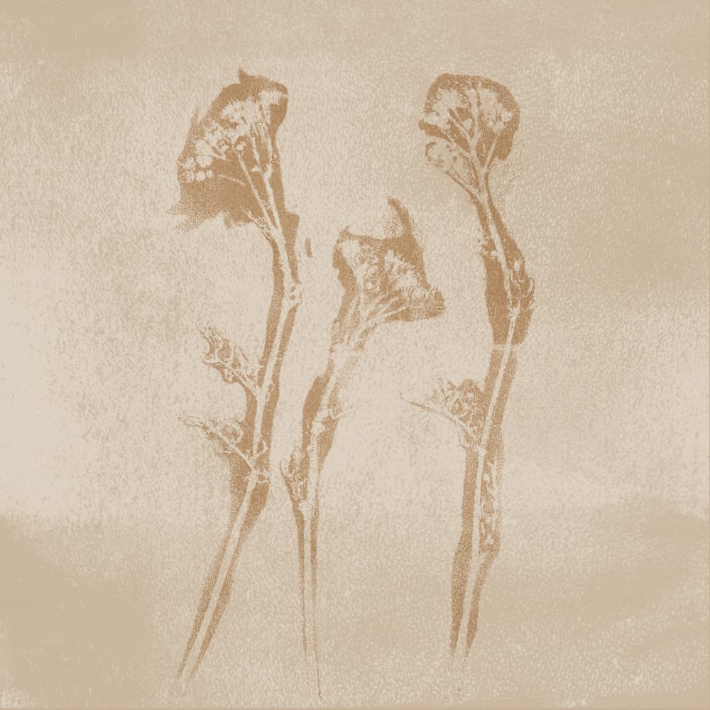 Earthy Floral Abstract by Dina Dankers — canvas wall art
