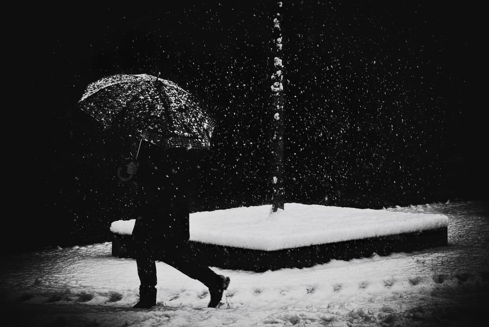 Snowy Night Walk by Samanta Krivec — canvas wall art
