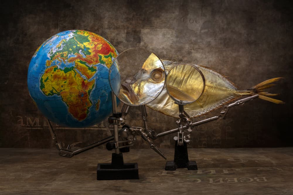 Magnifying Fish and Globe by Brig Barkow — canvas wall art