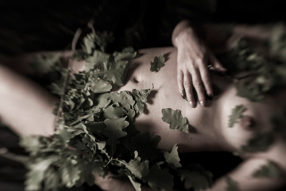 Nature's Embrace by Bogdan Bouşcă — canvas wall art