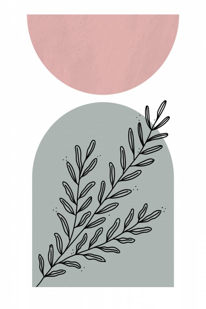 Minimalist Botanical Arch by Sally Ann Moss — canvas wall art