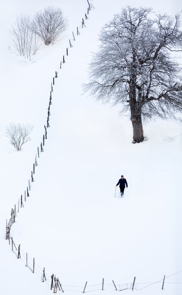 Winter Trek Solitude by durmusceylan — canvas wall art