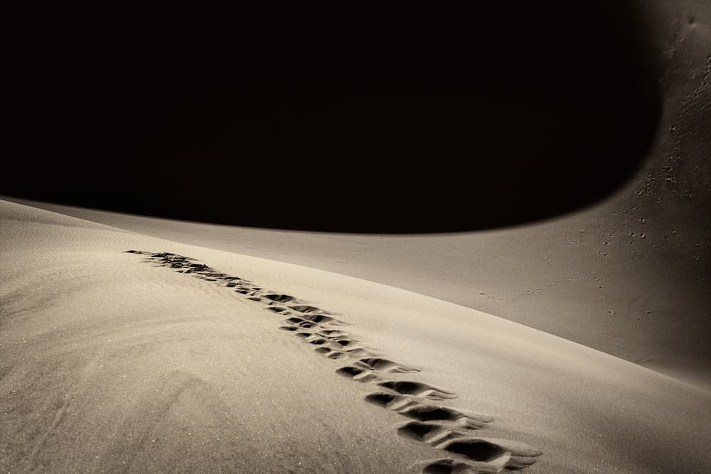 Footprints on Desert Sands by Jure Kravanja — canvas wall art