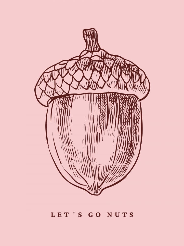 Let's Go Nuts Acorn by Ohkimiko — canvas wall art