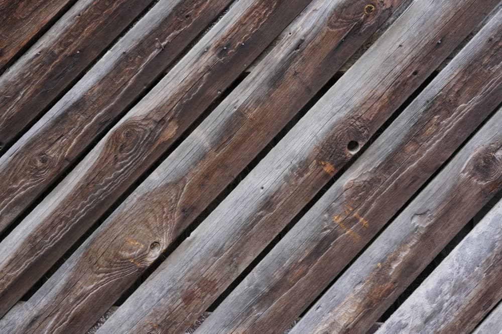 Rustic Wooden Logs by Bilge Paksoylu — canvas wall art
