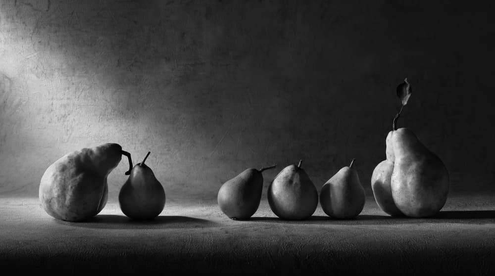 Intimate Pear Still Life by Victoria Glinka — canvas wall art
