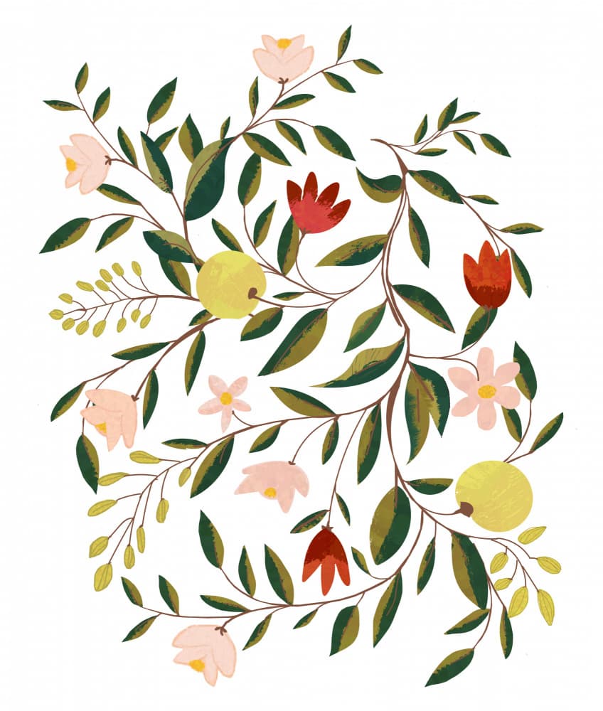 Floral Fruit Vines by Uma Gokhale — canvas wall art