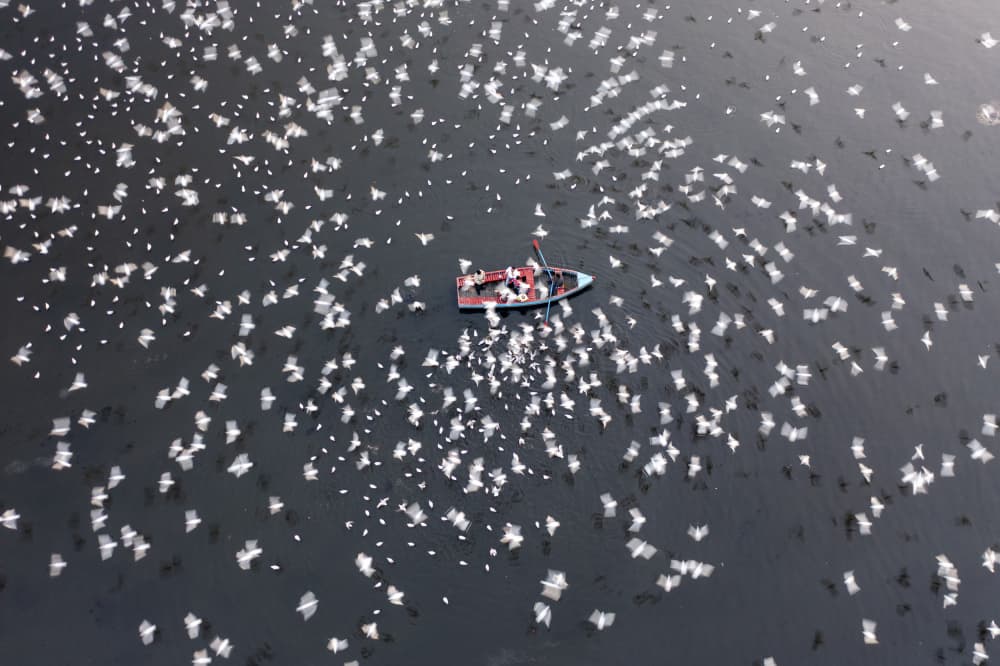 Boat Amidst Flying Birds by Azim Khan Ronnie — canvas wall art