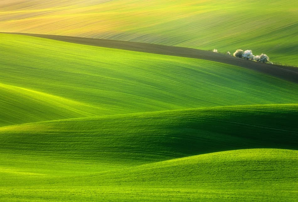 Rolling Green Hills by Krzysztof Browko — canvas wall art