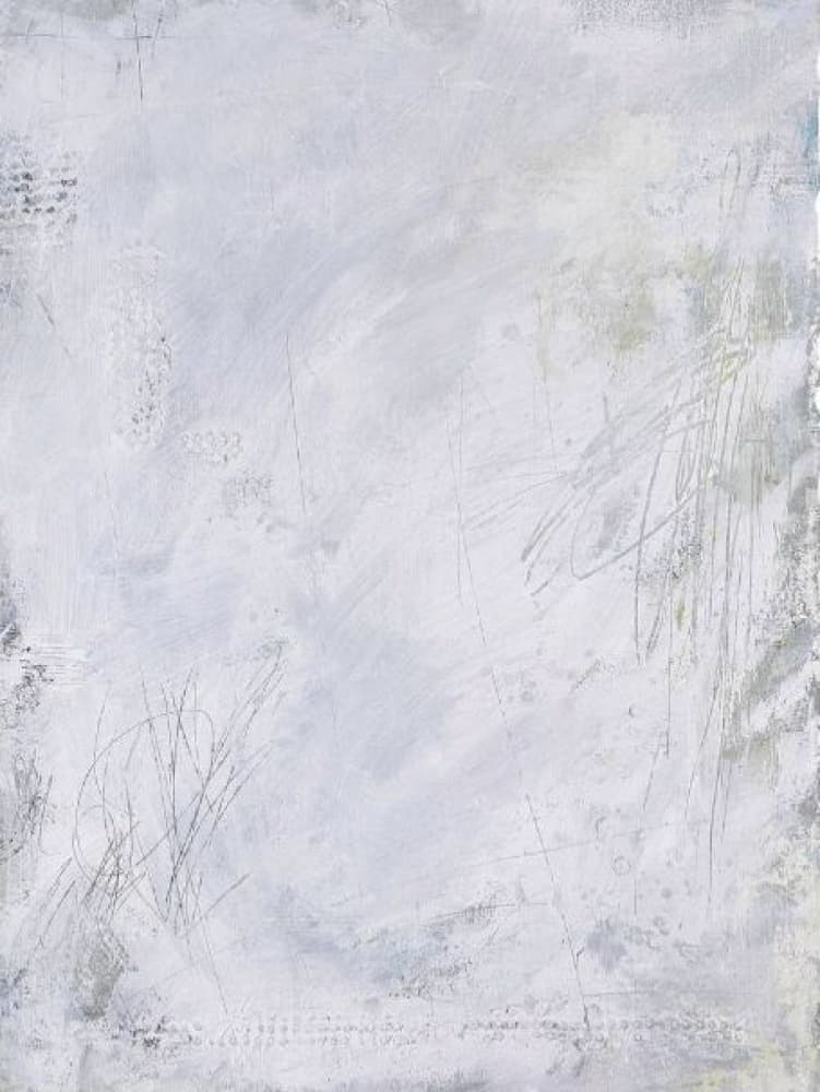 Soft White Texture by Deb Chaney — canvas wall art