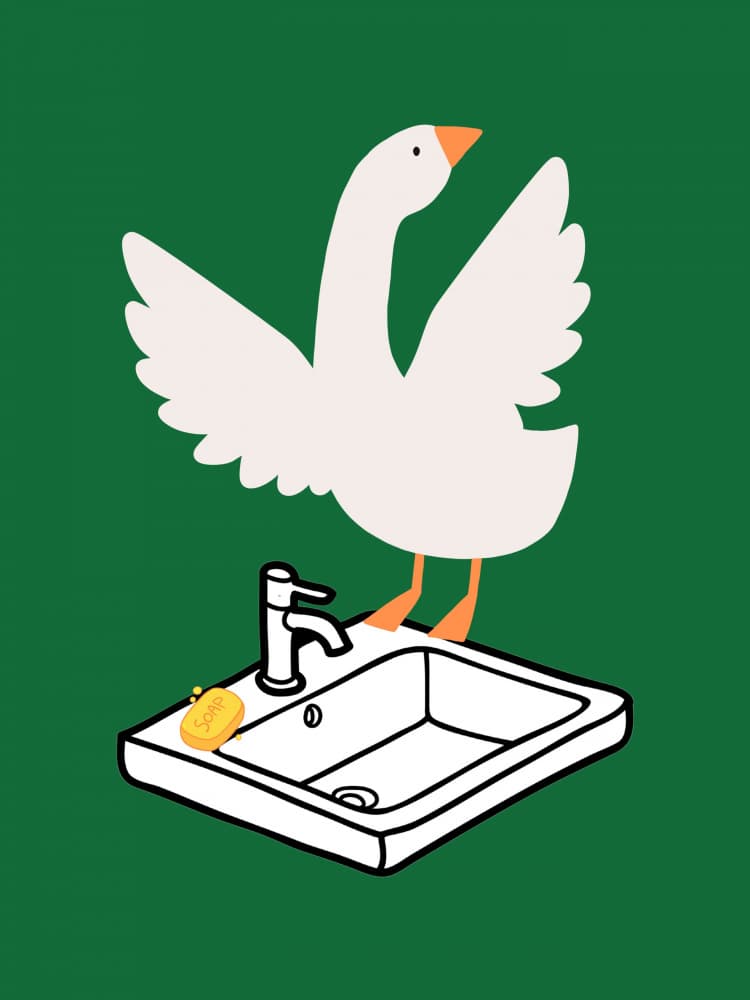 Funny Goose Sink by Jolly and Dash — canvas wall art
