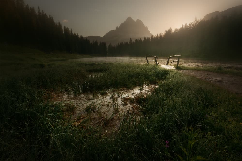 Misty Mountain Morning Path by Filippo Manini — canvas wall art