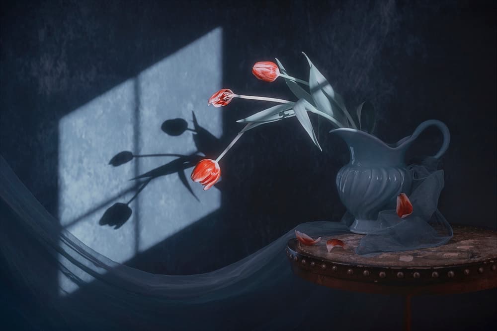 Window Light Tulips by Lydia Jacobs — canvas wall art