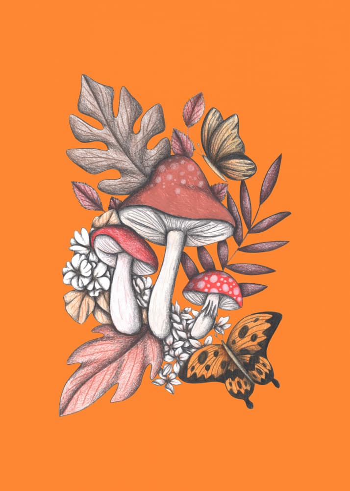 Whimsical Autumn Mushrooms by Cecilia Battaini — canvas wall art