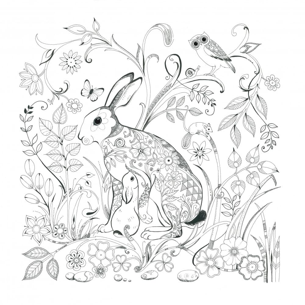 Hare and Young by Isabelle Brent — canvas wall art