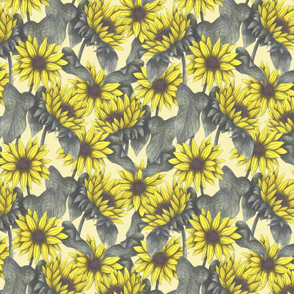 Sunny Sunflower Pattern by Cecilia Battaini — canvas wall art