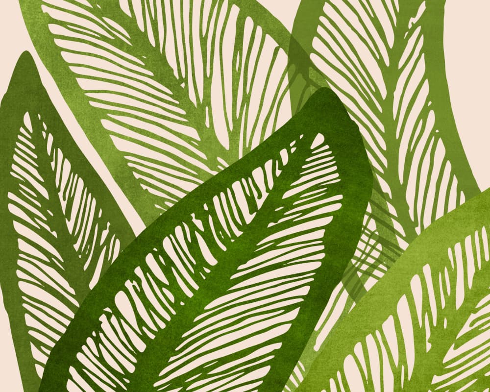 Green Tropics Wide by Kristian Gallagher — canvas wall art