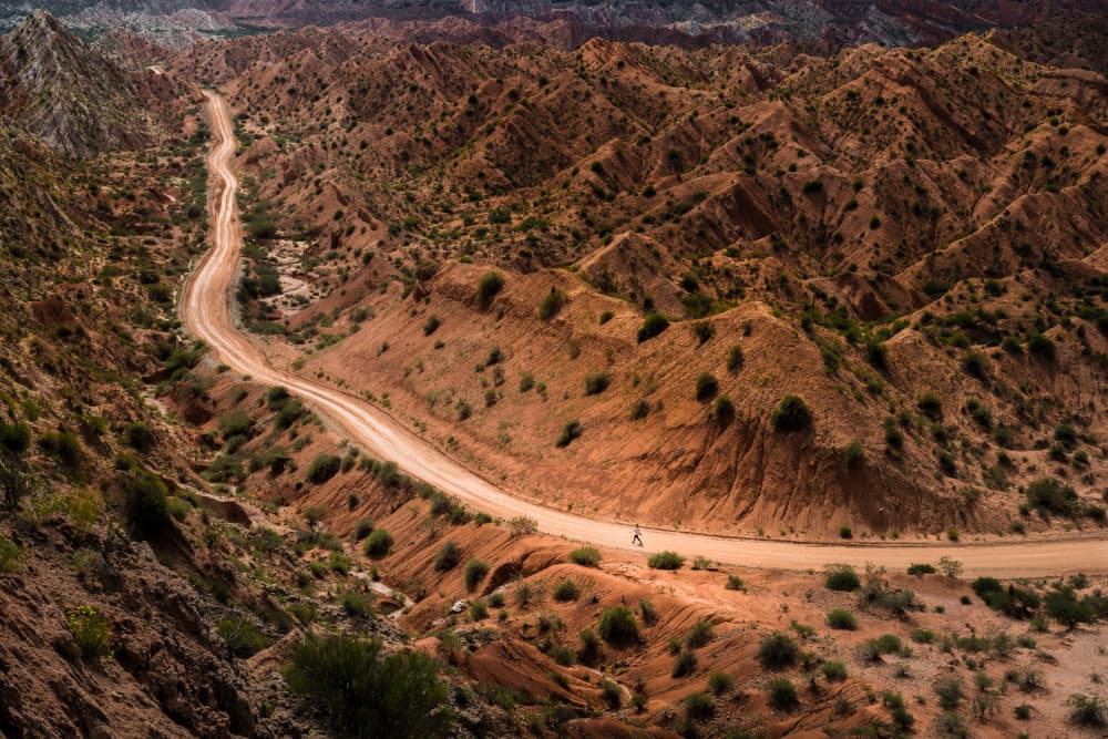 Winding Desert Path by Patrick Dessureault — canvas wall art