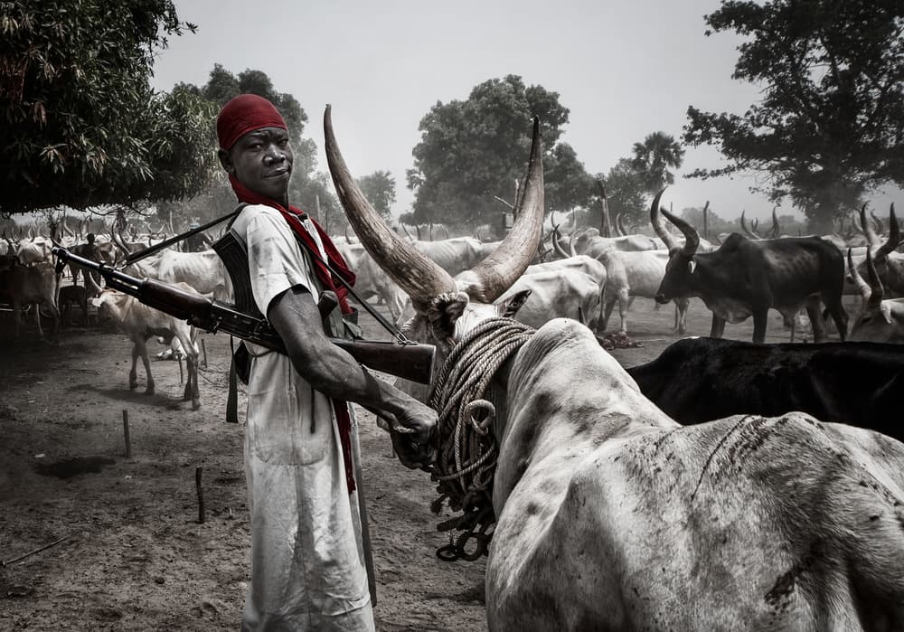 African Herder and His Bull by Joxe Inazio Kuesta Garmendia — canvas wall art