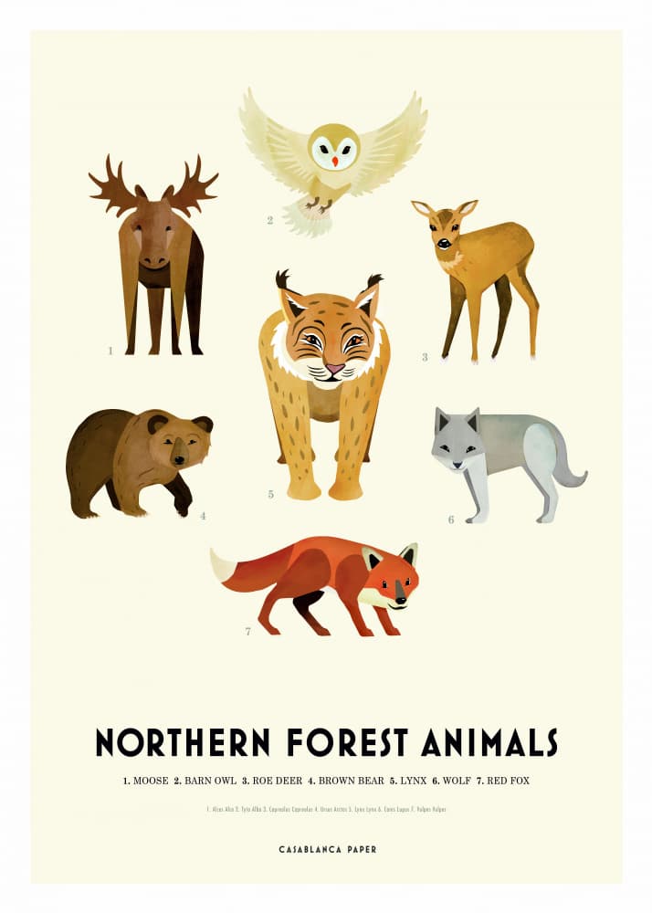 Northern Forest Animals by Erik Wintzell — canvas wall art