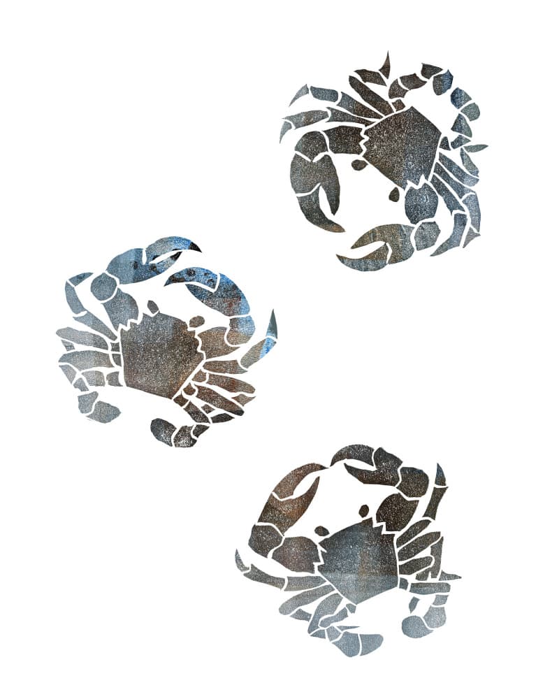 Three Textured Crabs by Melissa McKeagney — canvas wall art