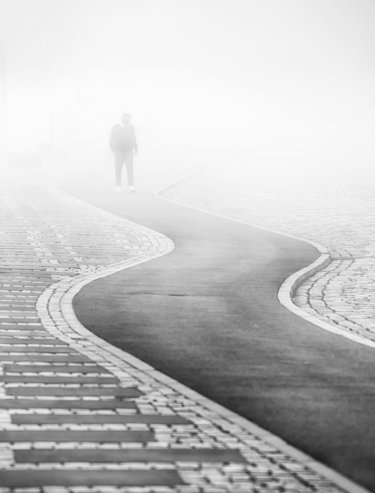 Quiet Foggy Journey by Anna Niemiec — canvas wall art
