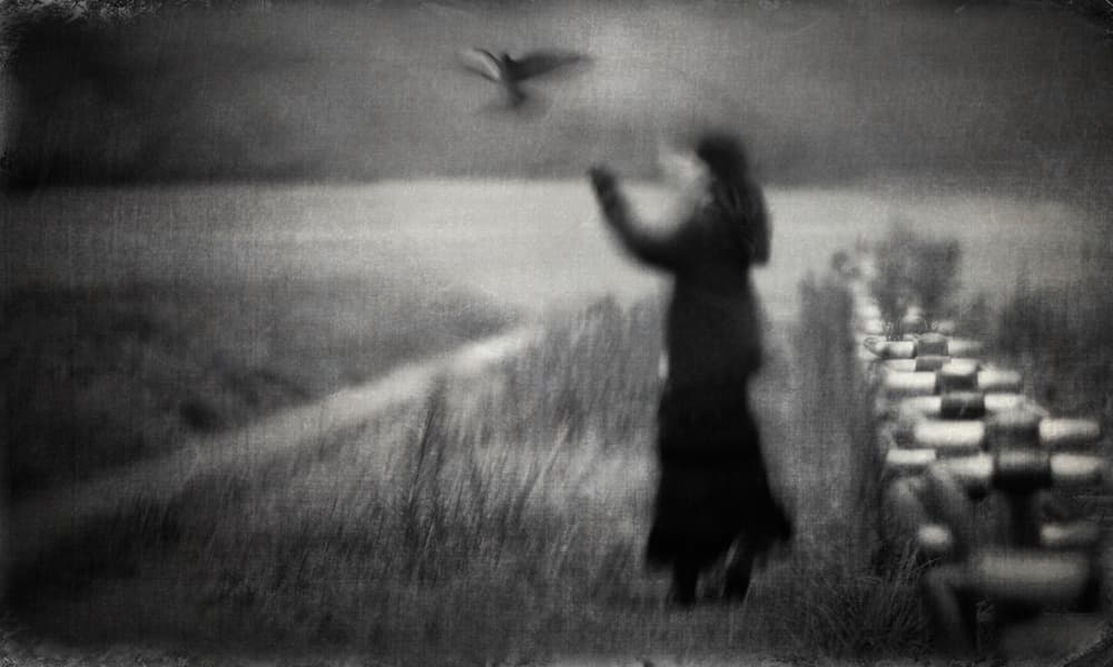 Woman Bird Flight Mystery by Teruhiko Tsuchida — canvas wall art
